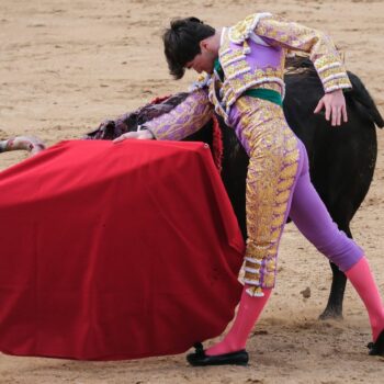 L’Espagne s’enflamme après la suppression d’un prix de tauromachie